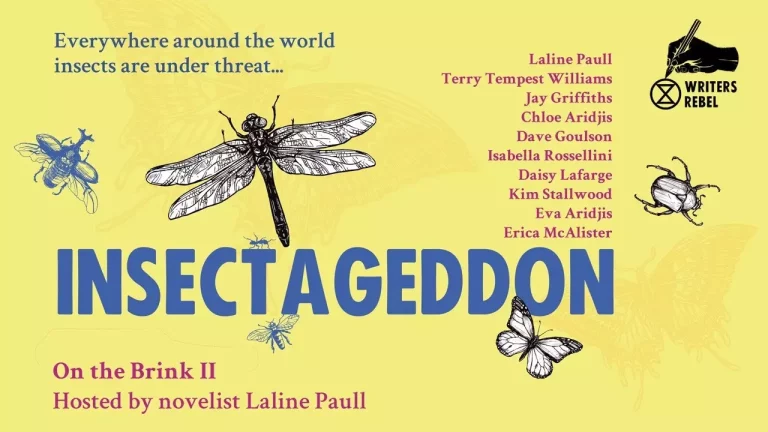 Insectageddon May 2021